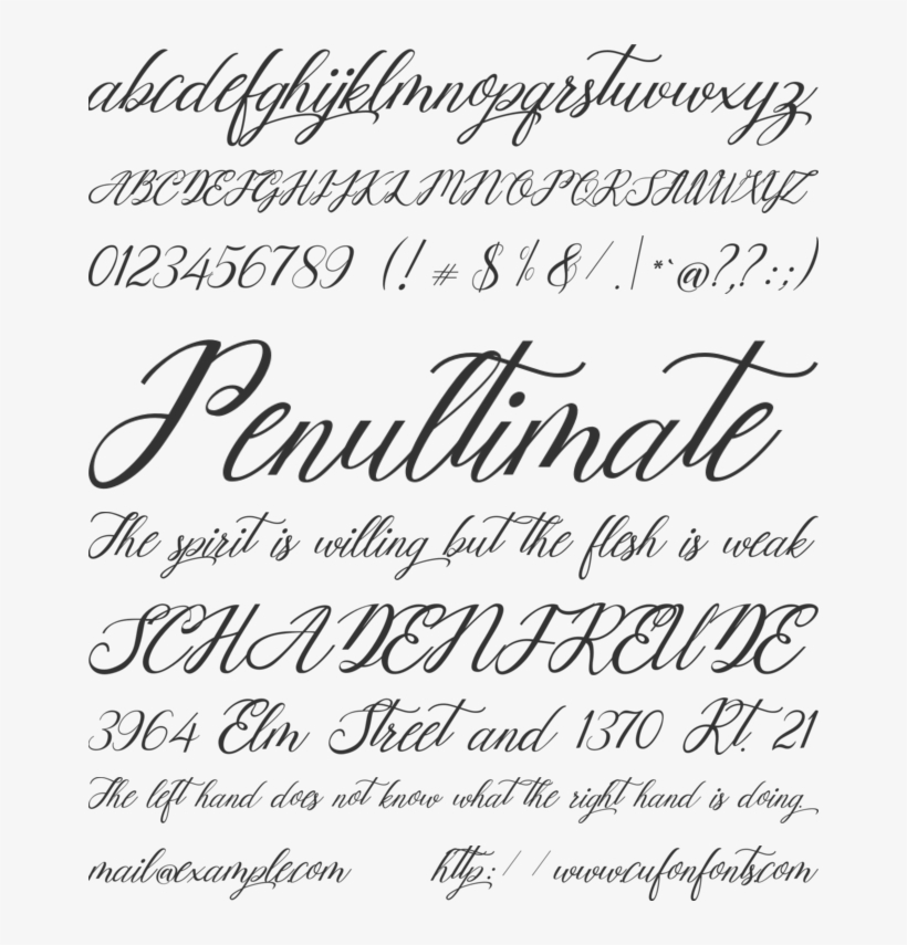 Mottingham Elegant Calligraphy Font Preview - Handwriting, transparent png download