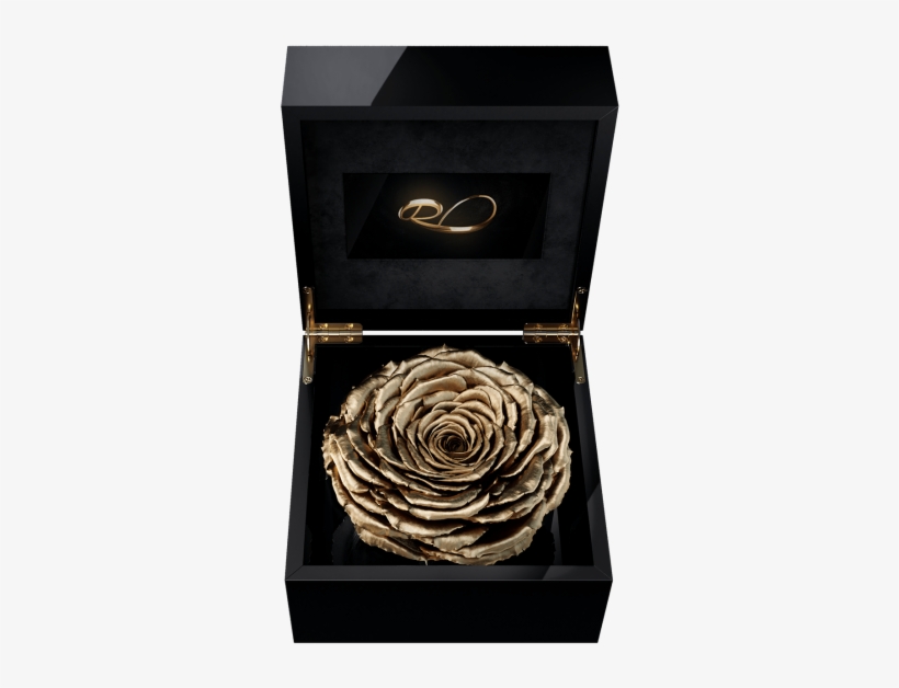 Luxury Video Flower Box Magna With A Xl Preserved Gold - Rose, transparent png download