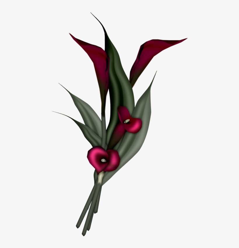 Flowers - Arum Lily Png Flower, transparent png download