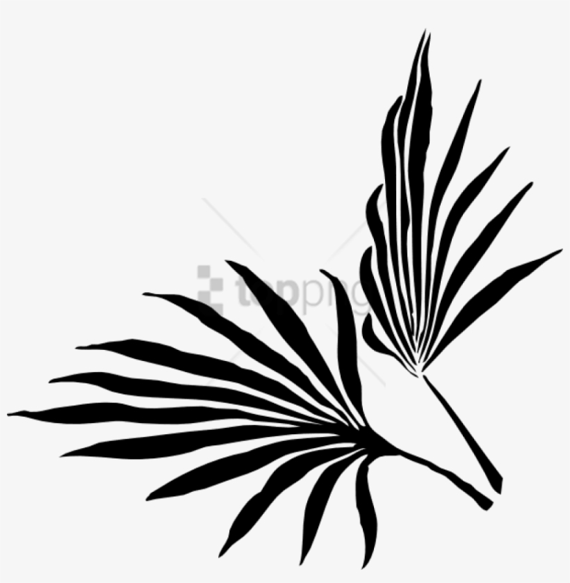 Free Png Palm Leaf Silhouette Vector Png Images Transparent - Palm Leaf Silhouette Vector, transparent png download