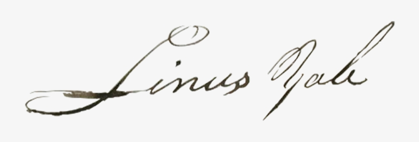 The History Of Yale - Calligraphy, transparent png download