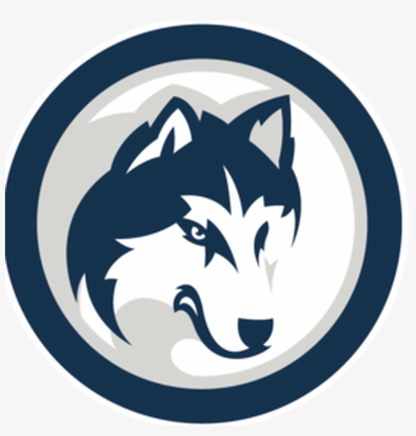 Bulldog Clipart Yale - Connecticut Huskies, transparent png download