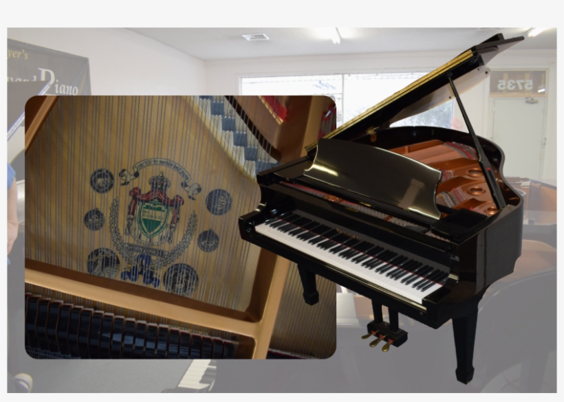 Knabe Kn-500 Baby Grand W/bench - Piano, transparent png download
