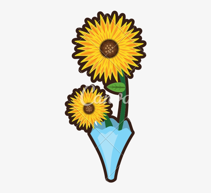 800 X 800 2 - African Daisy, transparent png download