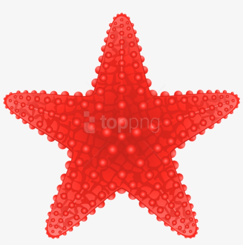 Free Png Download Starfish Transparent Clipart Png - Starfish Clip Art Png, transparent png download