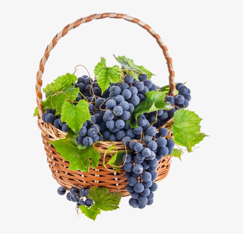Grape, transparent png download