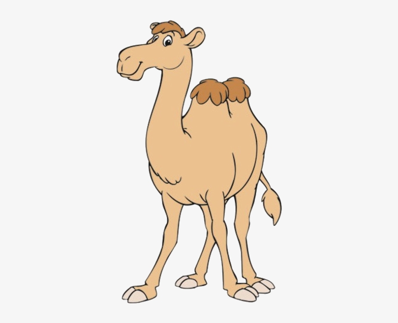 Image - Camel Clipart حىل, transparent png download