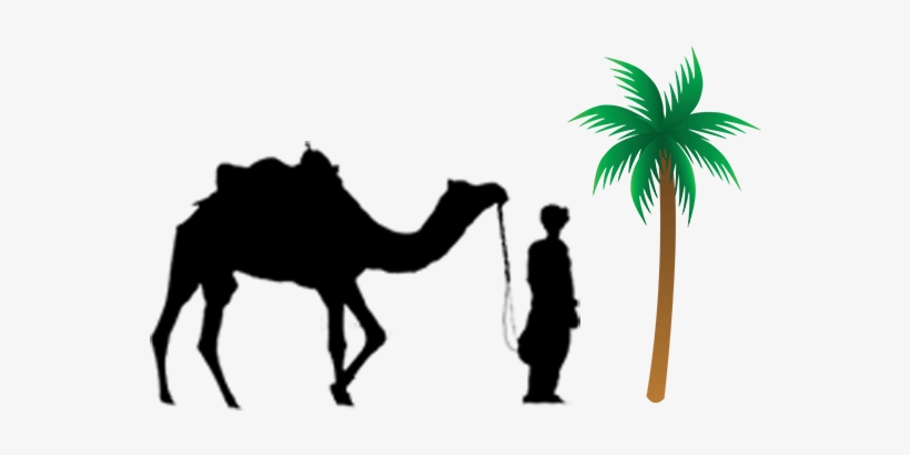 Contact Info - Camel With Man Png, transparent png download