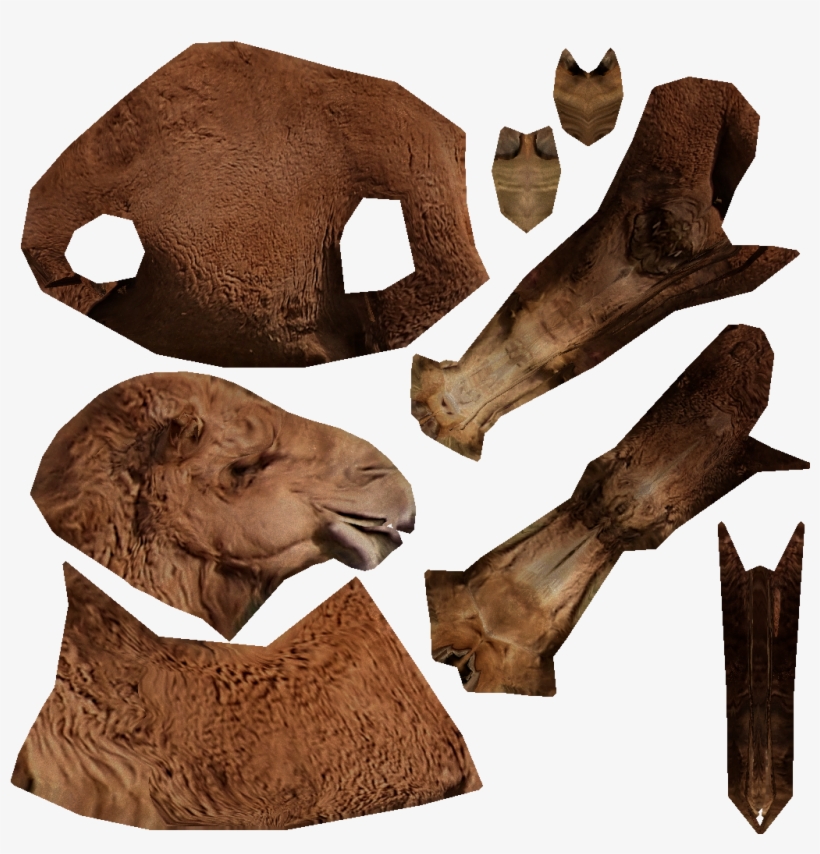 Camel - Thumb - - Masai Lion, transparent png download