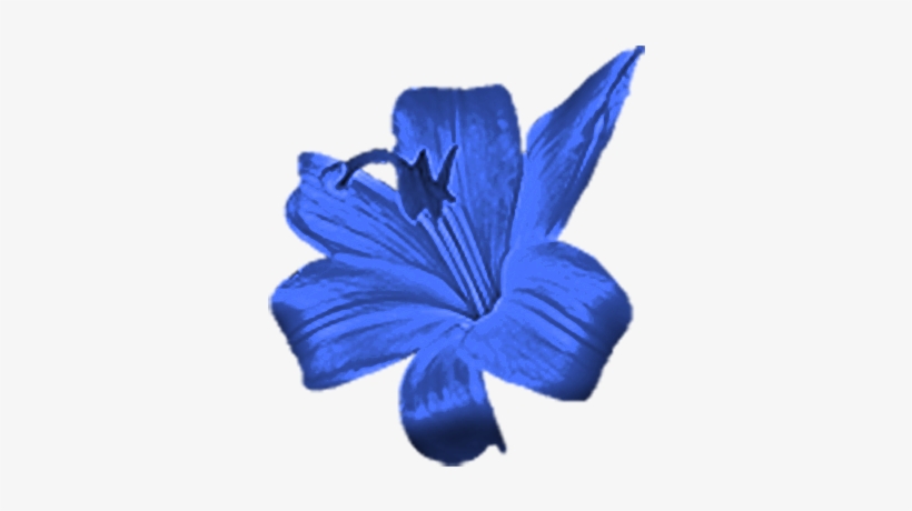 Blueflower - Small Blue Flower Png, transparent png download