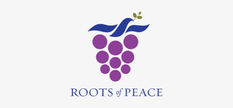Logo Roots Of Peace - Seeds Of Peace, transparent png download
