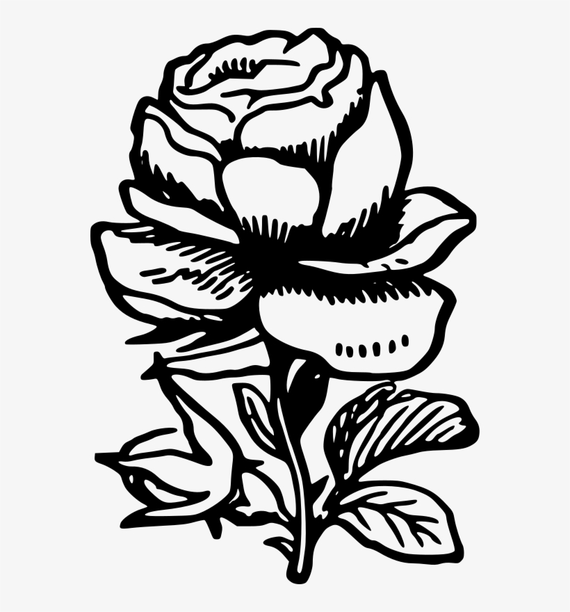 Medium Image - Black & White Rose Png, transparent png download