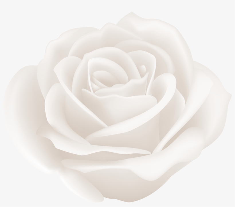Black And White Rose Png, transparent png download