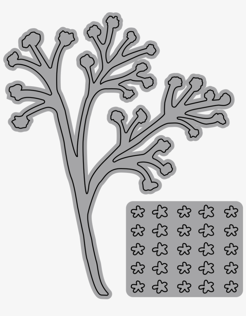 Garden Notes - Baby's Breath - Garden Notes Baby's Breath 1522, transparent png download