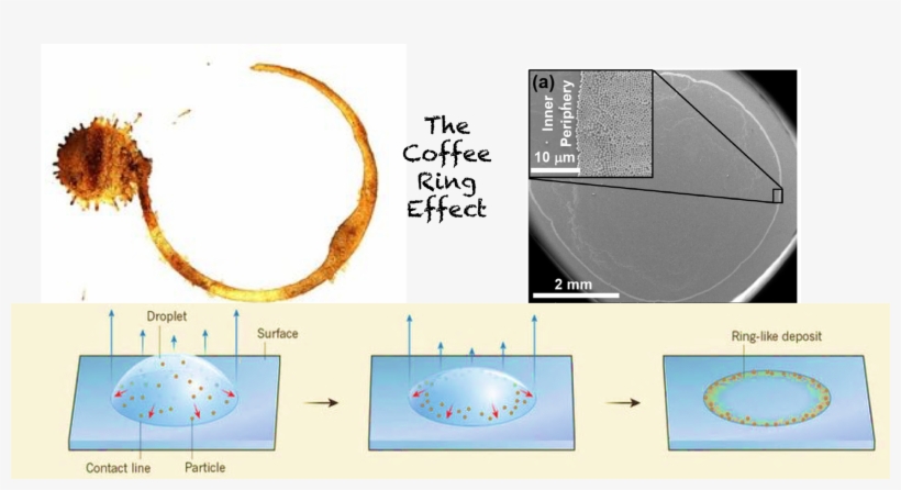 Yesterday's Coffee: A Collection Of Poetic Memories, transparent png download