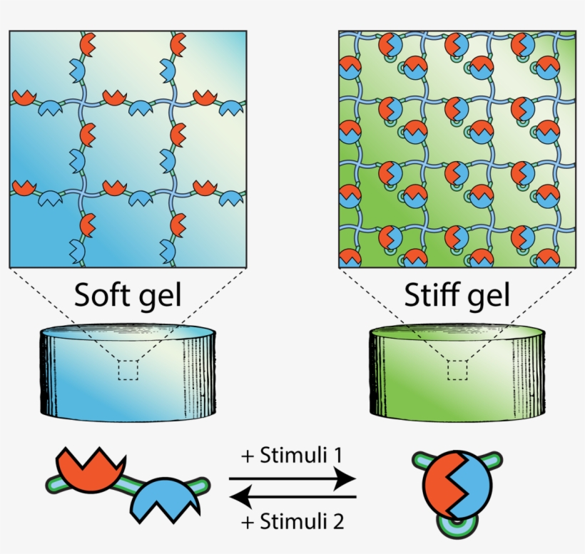 7 Replies 25 Retweets 128 Likes - Cartoon, transparent png download