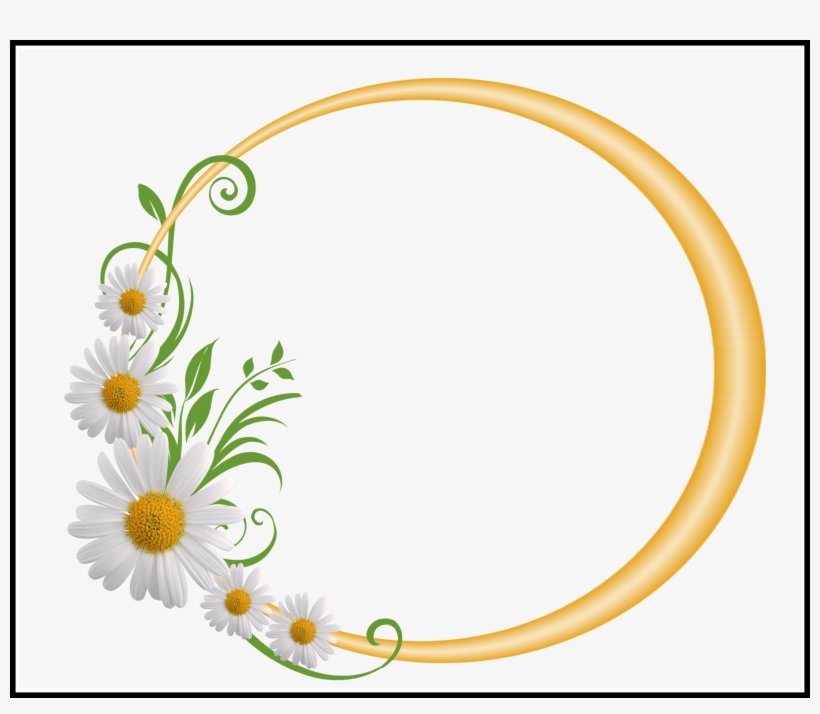Baby's Breath Flower Baby Breath Flower Png Unbelievable - Blessed Sabbath To You, transparent png download
