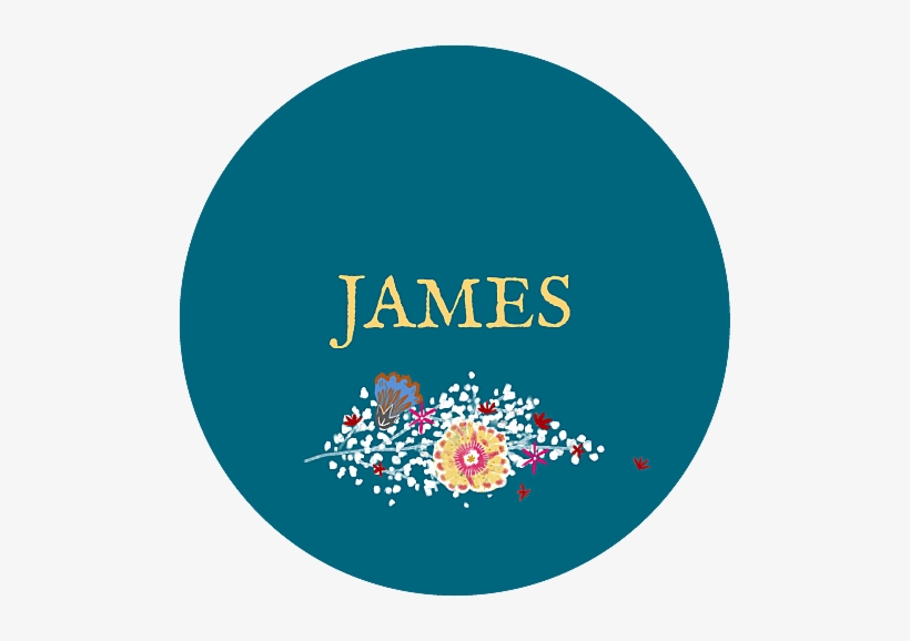 Baby Stickers Baby's Breath Blue - Tame (carter Kids #3) Ebook, transparent png download