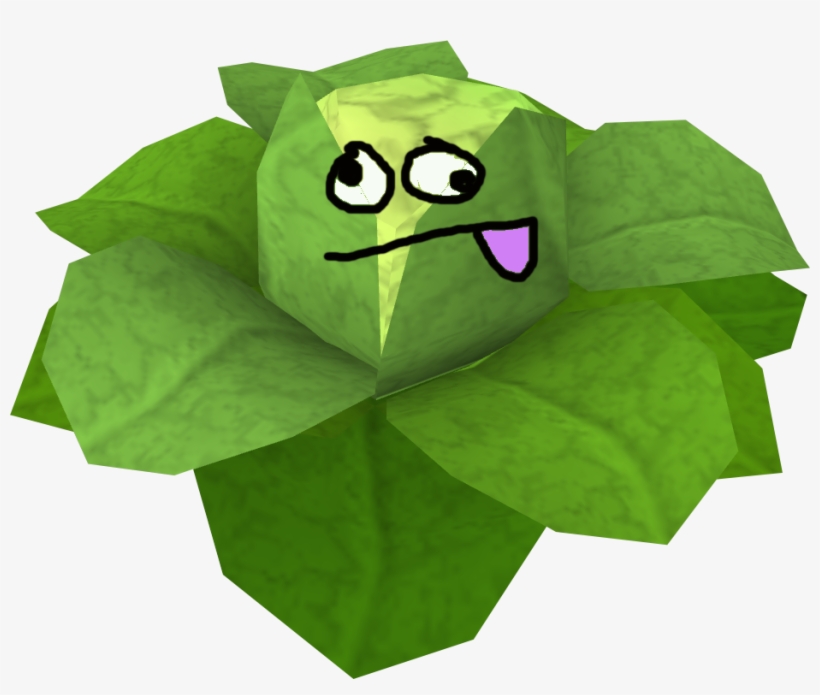 Cabbage Detail - Cabbage, transparent png download