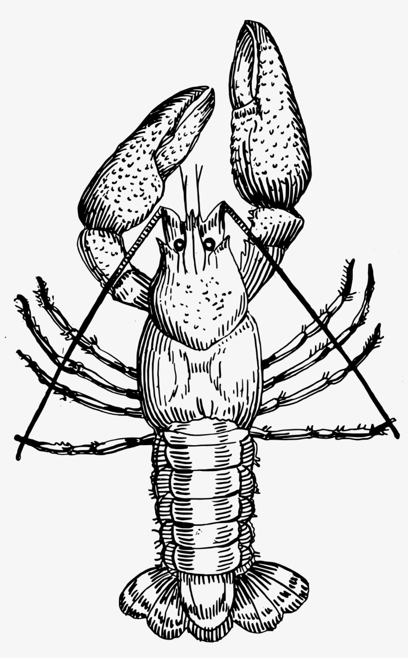 Crawfish Png, transparent png download