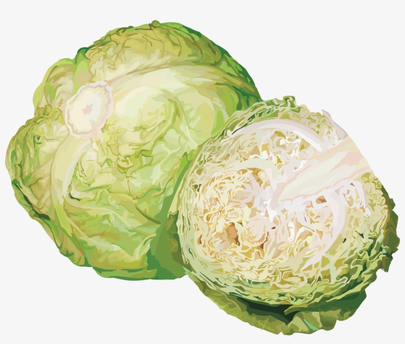 Яндекс - Фотки - Cabbage Transparent Background, transparent png download
