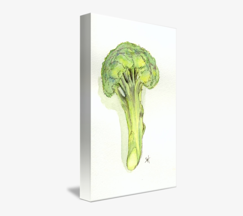 Broccoli Tree By Sydney Harper Graphic Royalty Free - Drawing, transparent png download