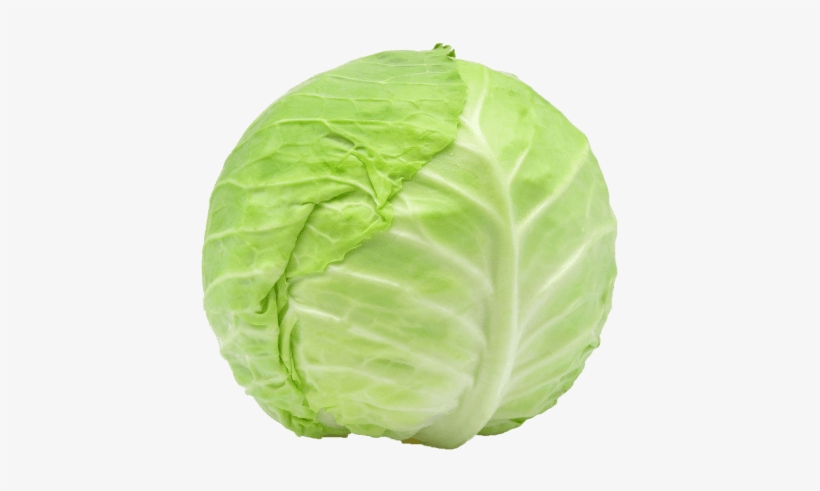 Free Png Cabbage Png Images Transparent - Cabbage Png, transparent png download
