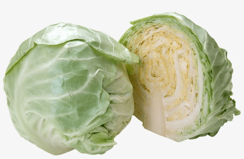 Free Png Cabbage Png Images Transparent - Cabbage Png, transparent png download