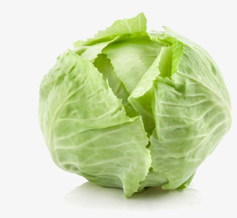 Cabbage Png Background Image - 100 Рецептов Питания При Пищевой Аллергии. Вкусно,, transparent png download