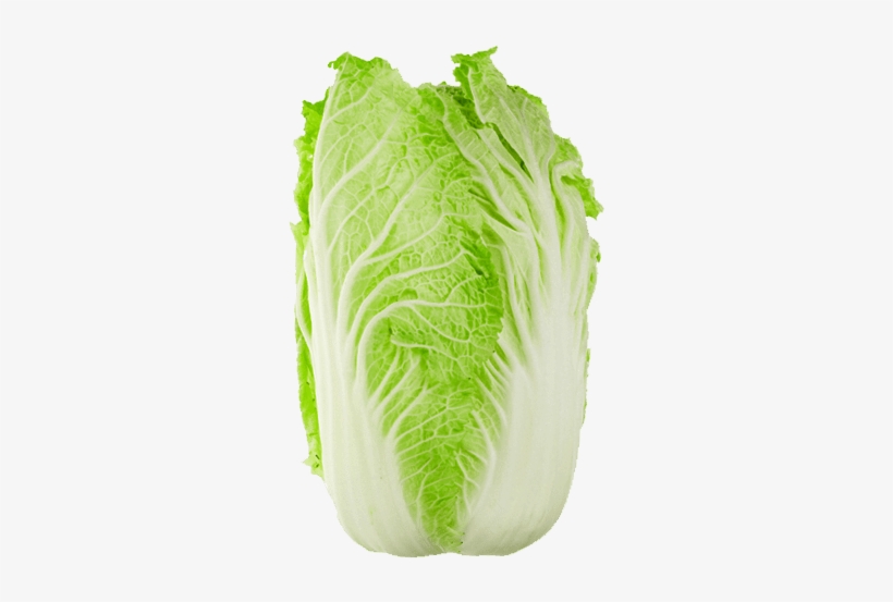 Vegetables - Chinese Cabbage Transparent, transparent png download