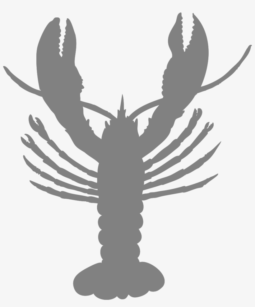 Crawfish Vector Pdf - American Lobster, transparent png download
