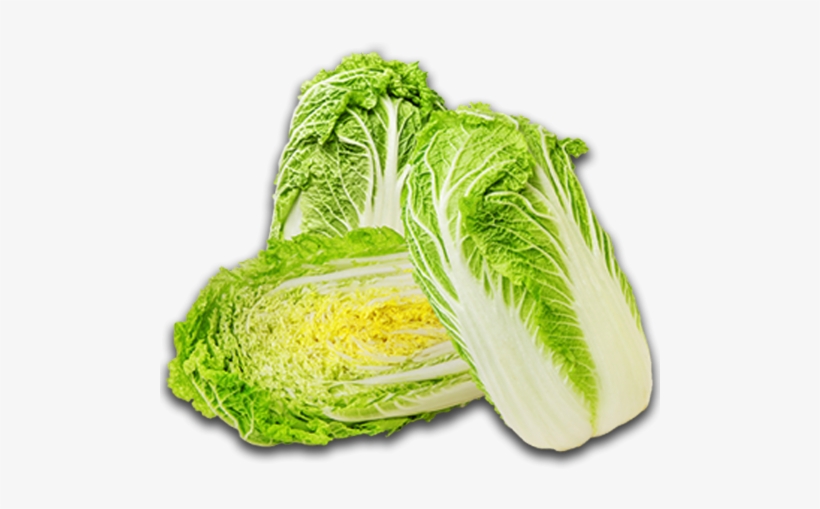 Chinese Cabbage - Chinese Cabbage Transparent Png, transparent png download