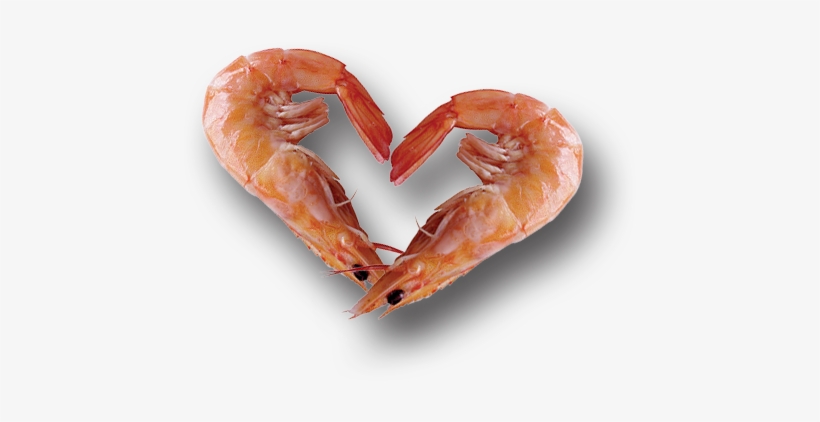 Farmer's Seafood Company Loves Seafood - Sea Food Png, transparent png download