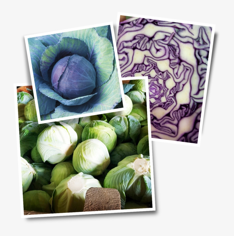 The Cabbage Market Is Growing Like Mad - Brussels Sprout, transparent png download