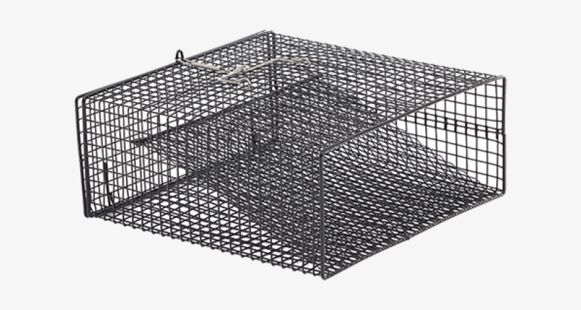 Black Crawfish Flat Bottom Square Trap 12" X 12" X - Trampa Para Peces De Rio, transparent png download