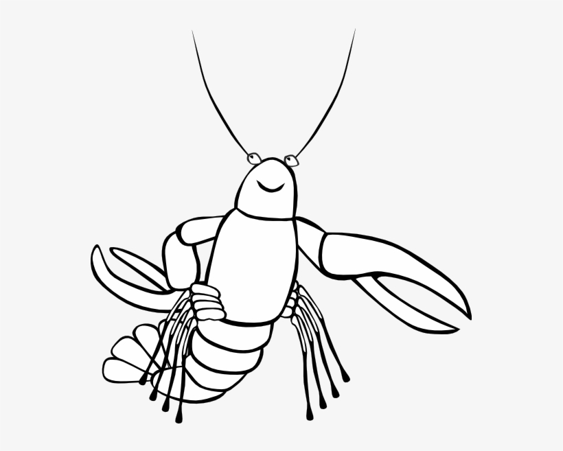Gerald G Crawfish 1 555px - Crawfish Clip Art, transparent png download