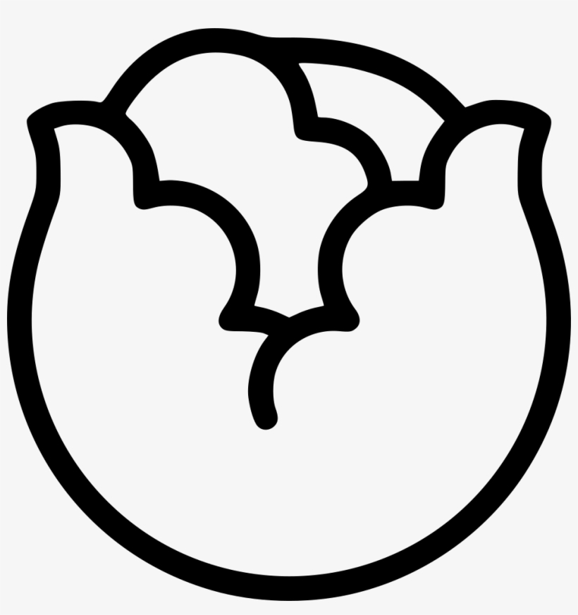 Cabbage Comments - Volkswagen, transparent png download