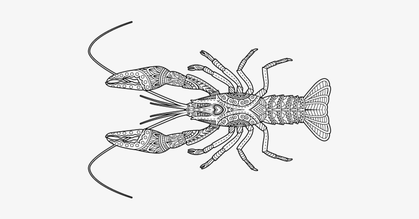 Roux The Day - Insect, transparent png download