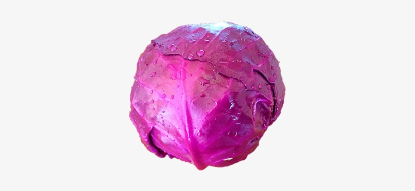 Red Cabbage, transparent png download