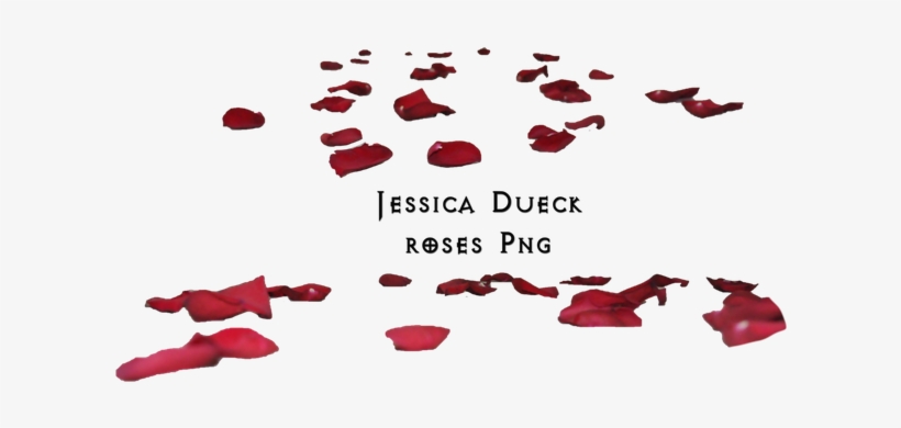 Roses Petals Png I By Starscoldnight - Rose Petals On Floor Png, transparent png download