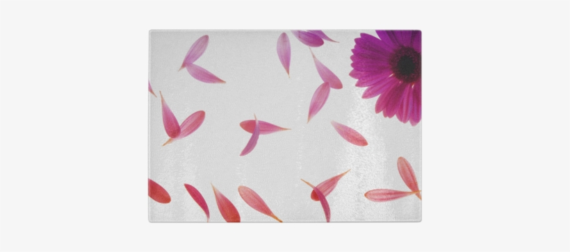 Falling Petals Glass Cutting Board - East Urban Home 'single Pink Flower' Graphic Art Print, transparent png download