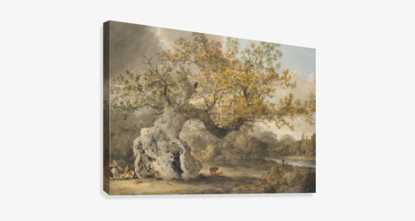An Old Tree Canvas Print - Julius Caesar Ibbetson, transparent png download