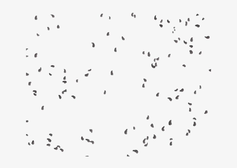 Lion Page - Black Petals Transparent, transparent png download
