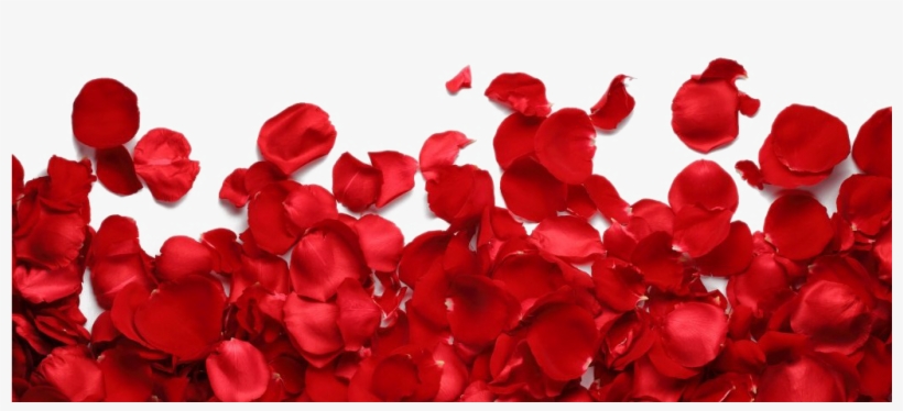 Rose Petals Png Transparent Image - Iphone 8 Plus Case,iphone 7 Plus Case, Luolnh Shockproof, transparent png download