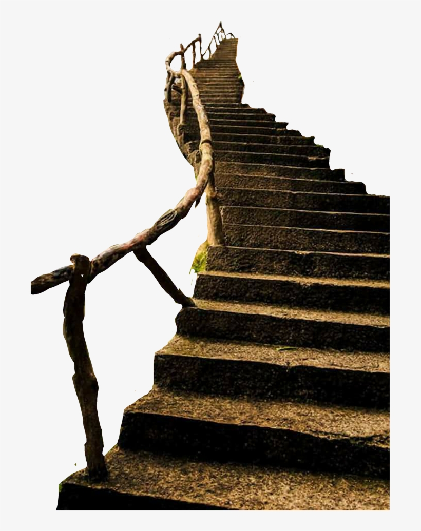 Report Abuse - .net, transparent png download