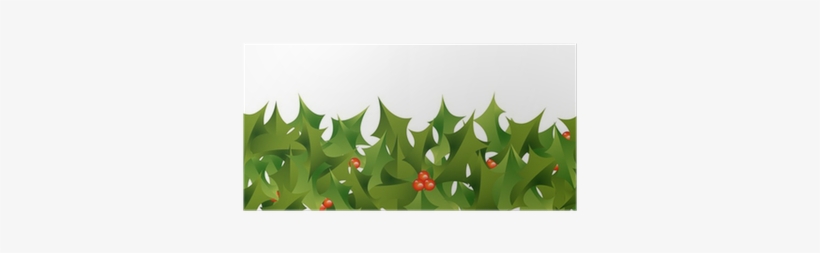 American Holly, transparent png download