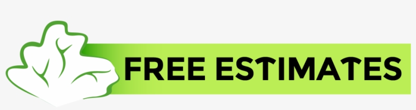 Estimates & Quotations - Free Shipping: Lgbt Rainbow Pride Button Pin - Lesbian, transparent png download