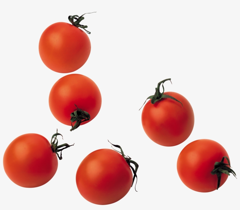 Red Tomatoes Png Image - Cherry Tomato Png, transparent png download