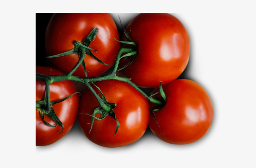 Plum Tomato, transparent png download