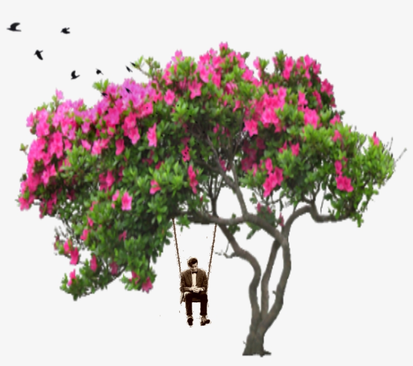 Ftestickers Tree People Birds Man Swing Bird Flower - Arboles Con Flores Png, transparent png download